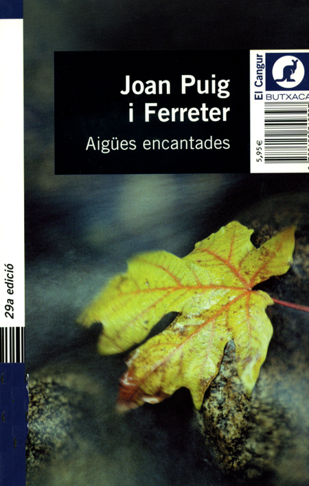 Aigües encantades : Puig i Ferreter, Joan: : Books